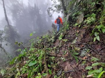 SE VENDE FINCA DE BOSQUE PRIMARIO 252,40 HECTAREAS  EL NARANJAL - GUAYAS - ECUADOR
