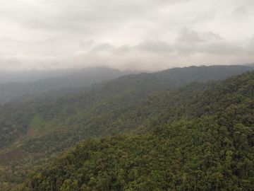 SE VENDE FINCA DE BOSQUE PRIMARIO 252,40 HECTAREAS  EL NARANJAL - GUAYAS - ECUADOR