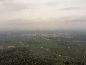 SE VENDE FINCA DE BOSQUE PRIMARIO 252,40 HECTAREAS  EL NARANJAL - GUAYAS - ECUADOR