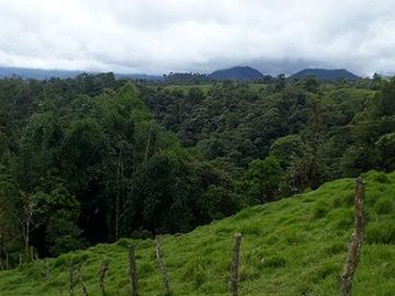 SE VENDE DE OPORTUNIDAD FINCA GANADERA 95 HAS.  SAN MIGUEL DE LOS BANCOS – PICHINCHA - ECUADOR