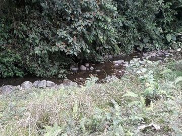 SE VENDE DE OPORTUNIDAD FINCA GANADERA 95 HAS.  SAN MIGUEL DE LOS BANCOS – PICHINCHA - ECUADOR
