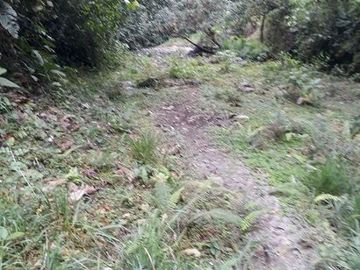 SE VENDE DE OPORTUNIDAD FINCA GANADERA 95 HAS.  SAN MIGUEL DE LOS BANCOS – PICHINCHA - ECUADOR