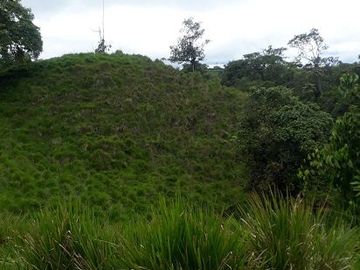 SE VENDE DE OPORTUNIDAD FINCA GANADERA 95 HAS.  SAN MIGUEL DE LOS BANCOS – PICHINCHA - ECUADOR