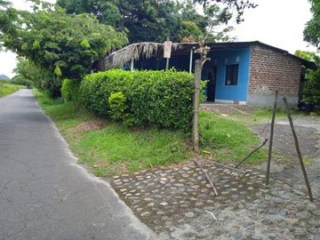 VENDO FINCA VEREDA LA FLOR SAN LUIS TOLIMA