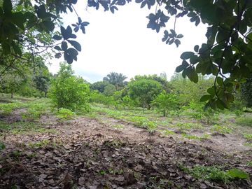 VENDO FINCA VEREDA LA FLOR SAN LUIS TOLIMA