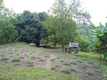 VENDO FINCA VEREDA LA FLOR SAN LUIS TOLIMA