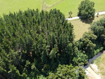 Campo en Cañitas, Los Muermos