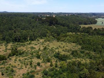 Campo en Cañitas, Los Muermos