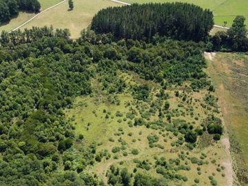 Campo en Cañitas, Los Muermos