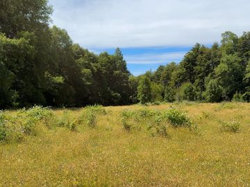 Campo en Cañitas, Los Muermos