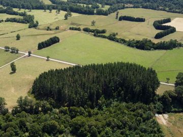 Campo en Cañitas, Los Muermos