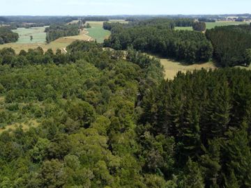 Campo en Cañitas, Los Muermos