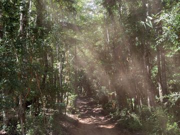 Campo en Cañitas, Los Muermos