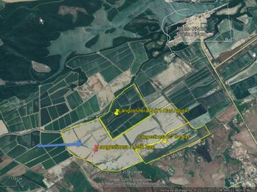 Langostinera en Tumbes de 250 has