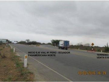 Terreno en Tumbes de 50,000 m2 Costado de Panamericana Norte – Cerca la Frontera