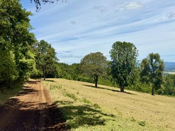 Campo Catrico