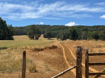Campo Catrico