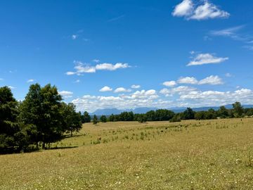 Campo Catrico