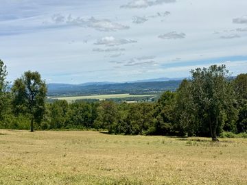 Campo Catrico