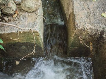 Rancho Gualupita