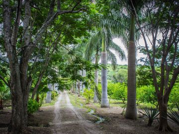 Rancho Gualupita