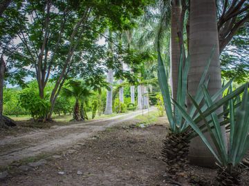 Rancho Gualupita