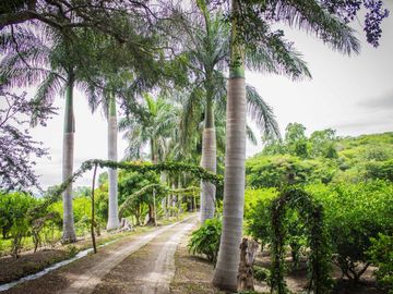 Rancho Gualupita