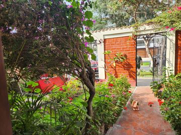 Se Vende Casa Por Remodelar En Avenida Monterrico Sur -Surco