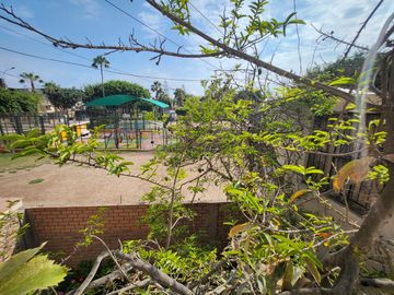 Se Vende Casa Por Remodelar En Avenida Monterrico Sur -Surco