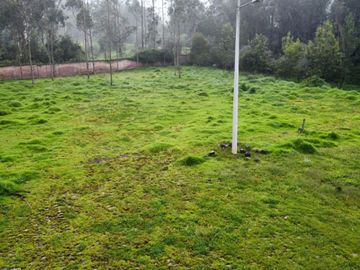 VENDO QUINTA EN MACHACHI - HUALILAGUA