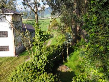 VENDO QUINTA EN MACHACHI - HUALILAGUA