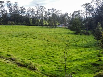 VENDO QUINTA EN MACHACHI - HUALILAGUA