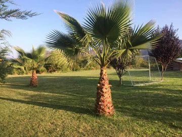 Invierte en felicidad: Venta de parcela en Los Manantiales de Melipilla  con piscina lista para disfrutar en familia.