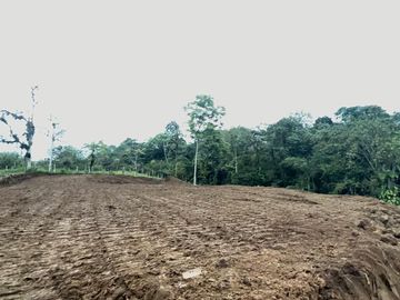 TERRENO EN VENTA, PEDRO VICENTE MALDONADO