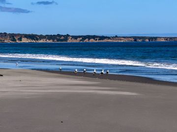 Lotes en Carelmapu Mar Brava con borde de mar - Maullín - Región de Los Lagos