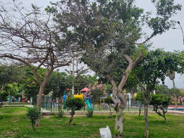 SAN JUAN DE MIRAFLORES: VENTA DE CASA CERCA PARQUE VILLALOBOS - ZONA B