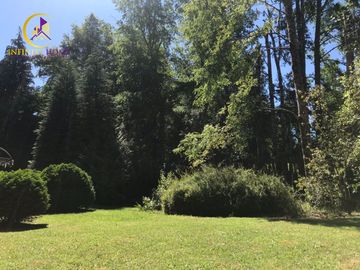 Hermosa Casa con Bosque Nativo y cerca del  Lago Caburgua Pucón
