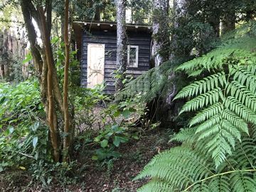Hermosa Casa con Bosque Nativo y cerca del  Lago Caburgua Pucón