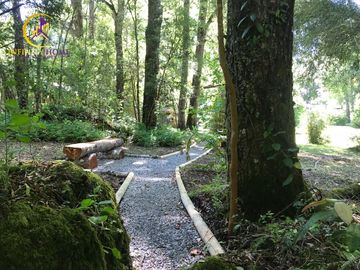 Hermosa Casa con Bosque Nativo y cerca del  Lago Caburgua Pucón