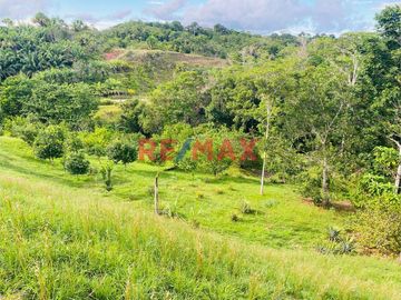 Venta 21 Ha De Terreno Agricola Con Casa En Iquitos