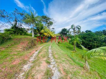 Venta 21 Ha De Terreno Agricola Con Casa En Iquitos