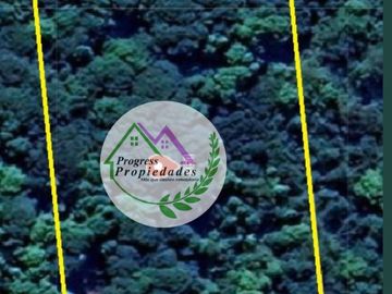 Parcelas en venta Condominio Los Canelos Maullin