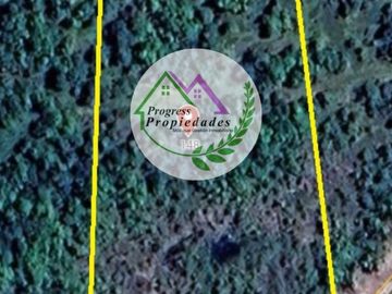 Parcelas en venta Condominio Los Canelos Maullin