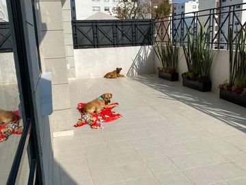 Vendo  departamento cerca del Club El Yaqui Cuajimalpa,  2 recámaras, pet friendly