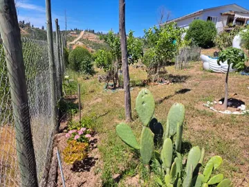 Venta De Hermosa Parcela En Cajón De Lebu
