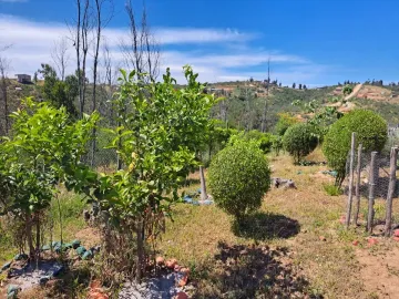 Venta De Hermosa Parcela En Cajón De Lebu