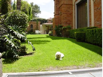 Residencia en venta en San José del Puente, Puebla