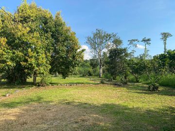 Se Vende Finca con  8.8 Hectáreas con Producción de Cacao y Piscinas  para peces  en Loreto Provincia de Orellana