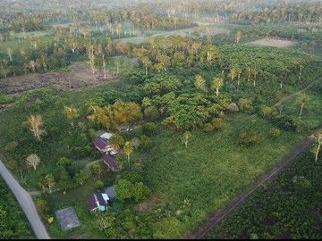 Se Vende Finca con  8.8 Hectáreas con Producción de Cacao y Piscinas  para peces  en Loreto Provincia de Orellana