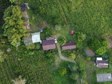 Se Vende Finca con  8.8 Hectáreas con Producción de Cacao y Piscinas  para peces  en Loreto Provincia de Orellana